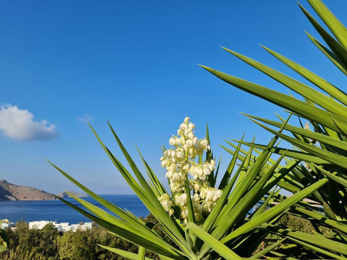 Tilos Villa Livadia  Exterior photo